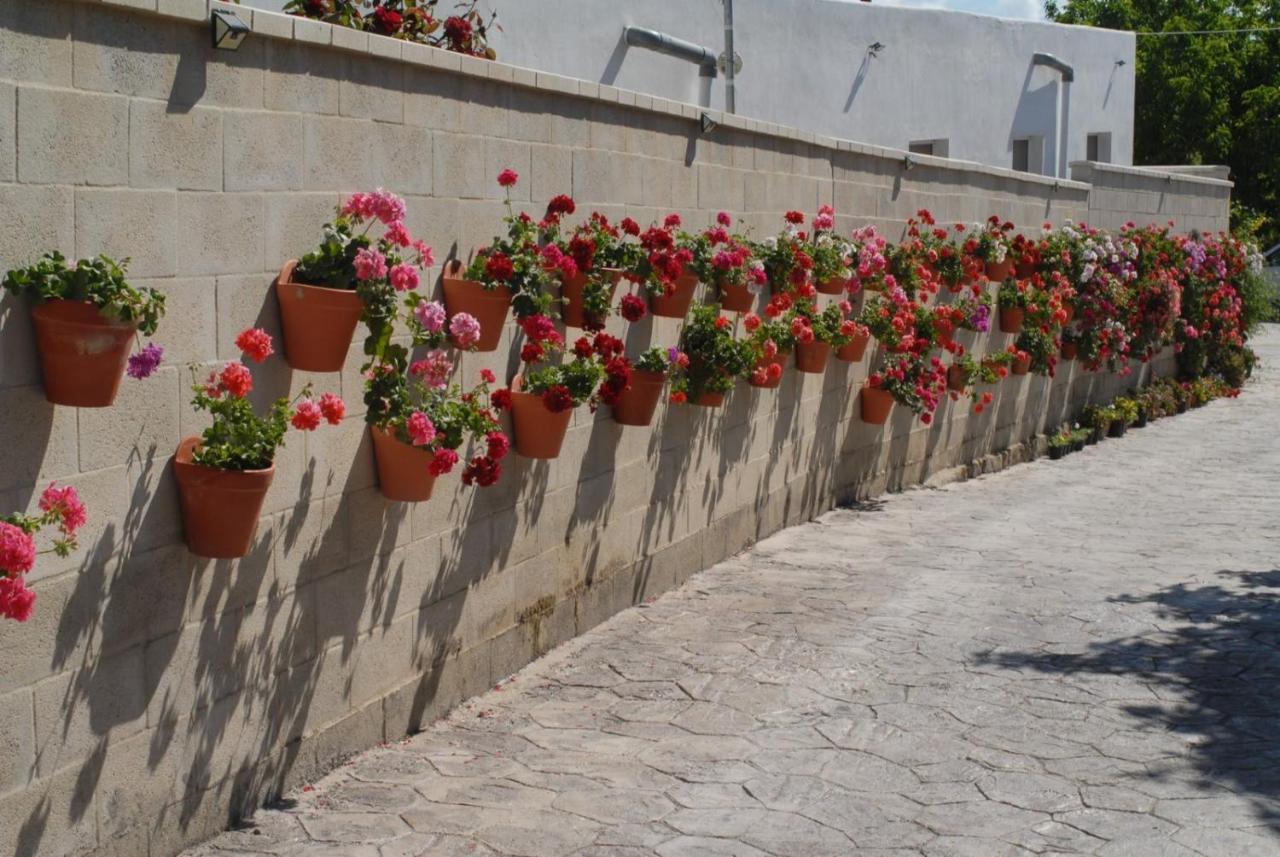 Pueblos Blancos Vejer de la Frontera Dış mekan fotoğraf